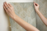 Wallpaper Leaf Concerto Peel & Stick Wallpaper // Warm Taupe 