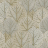 Wallpaper Leaf Concerto Peel & Stick Wallpaper // Warm Taupe 