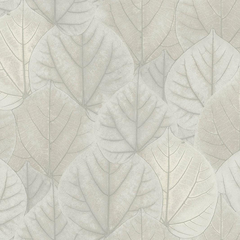 Wallpaper Leaf Concerto Wallpaper Sample // Grey 8 x 10 
