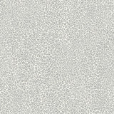 Wallpaper Leopard King Wallpaper // Grey 