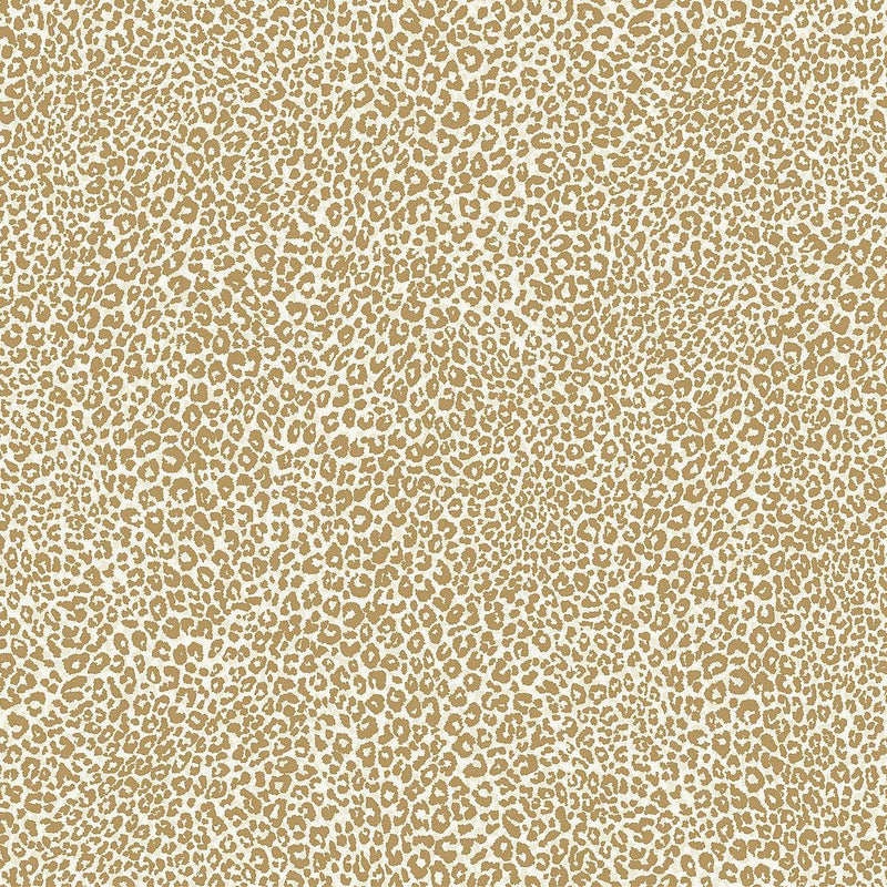 Wallpaper Leopard King Wallpaper Sample // Gold 8 x 10 