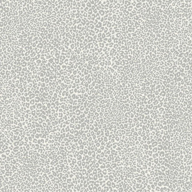 Wallpaper Leopard King Wallpaper Sample // Grey 8 x 10 