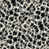 Wallpaper Leopard Rosettes Wallpaper // Black & Off White 