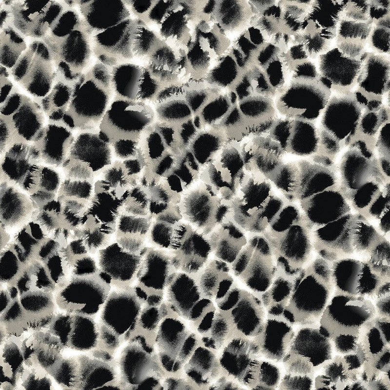 Wallpaper Leopard Rosettes Wallpaper Sample // Black & Off White 8 x 10 