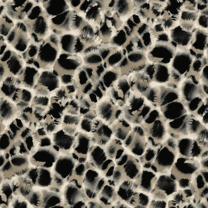 Wallpaper Leopard Rosettes Wallpaper Sample // Black 8 x 10 