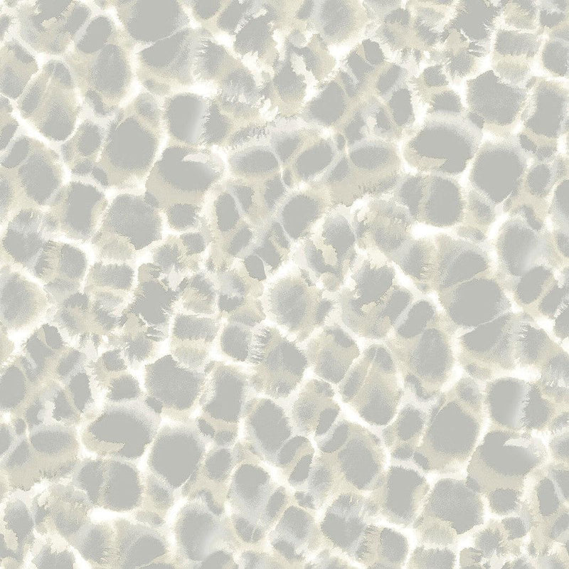 Wallpaper Leopard Rosettes Wallpaper Sample // Grey 8 x 10 