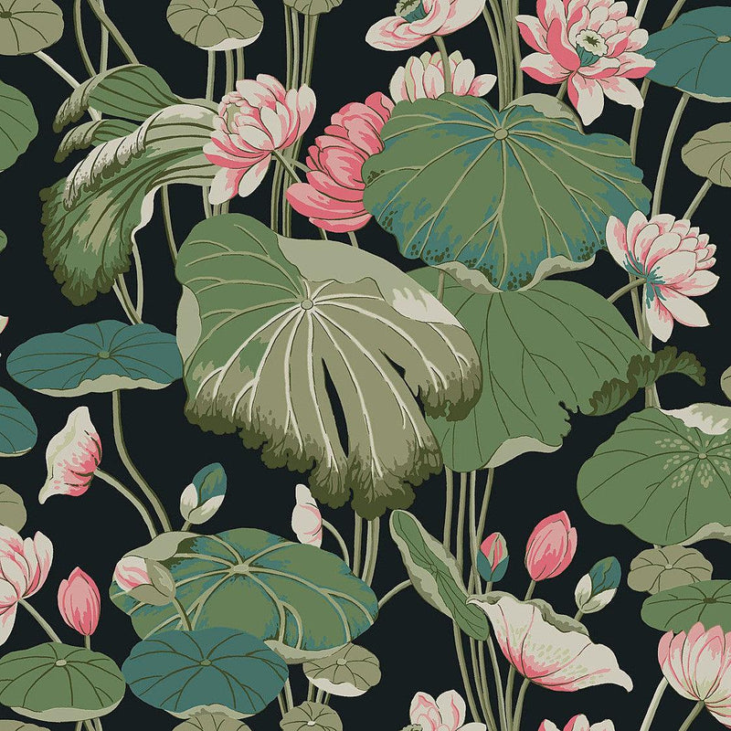 Wallpaper Lotus Pond Wallpaper Sample // Black & Pink 8 x 10 