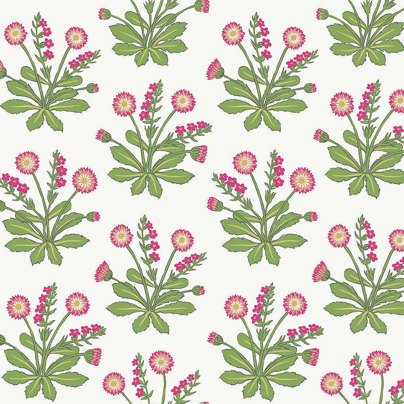 Wallpaper Meadow Flowers Wallpaper Sample // White & Rose 8 x 10 