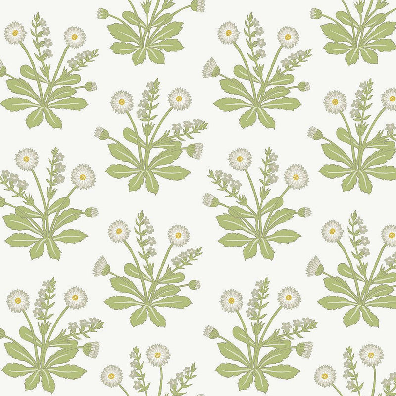 Wallpaper Meadow Flowers Wallpaper Sample // White 8 x 10 