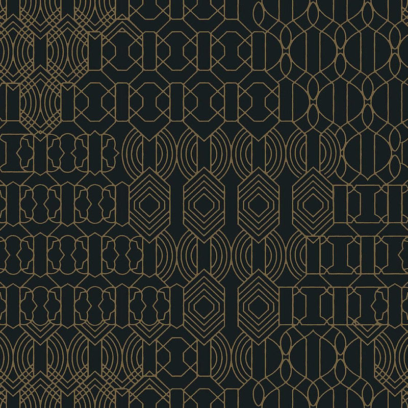 Wallpaper Modern Chandelier Wallpaper Sample // Black 8 x 10 