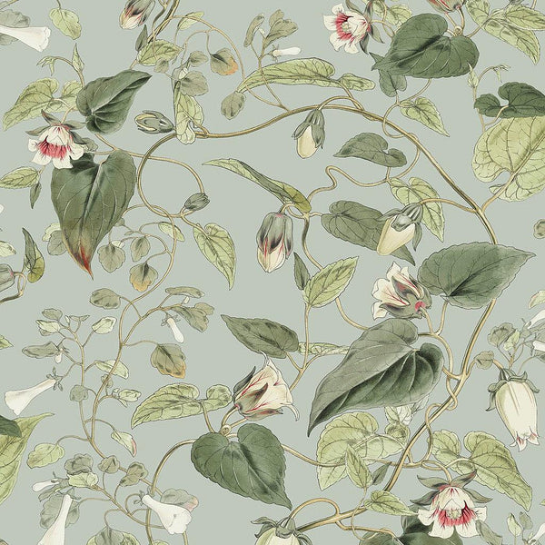 Wallpaper Moon Flower Wallpaper // Dove 