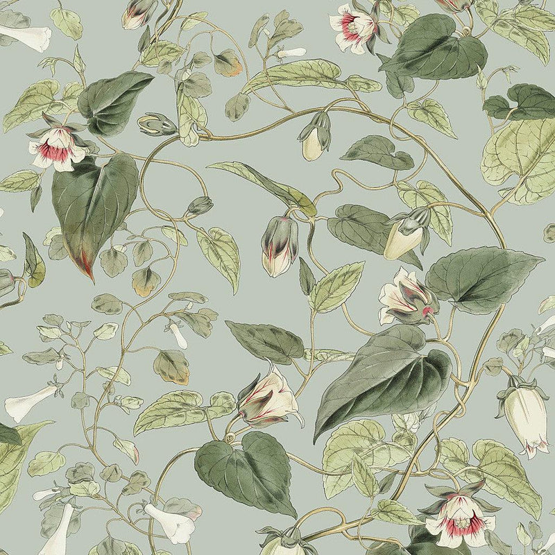 Wallpaper Moon Flower Wallpaper Sample // Dove 8 x 10 