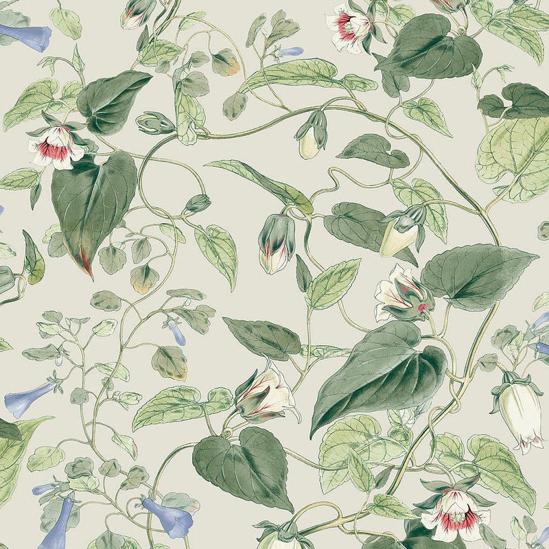 Wallpaper Moon Flower Wallpaper Sample // Light Taupe 8 x 10 