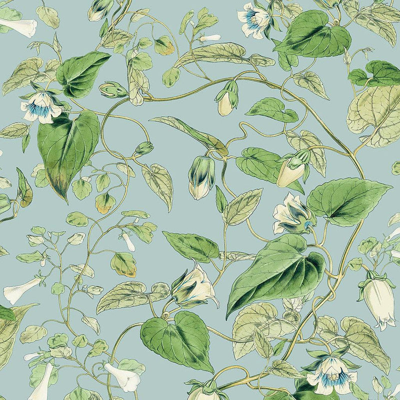 Wallpaper Moon Flower Wallpaper Sample // Sky Blue 8 x 10 