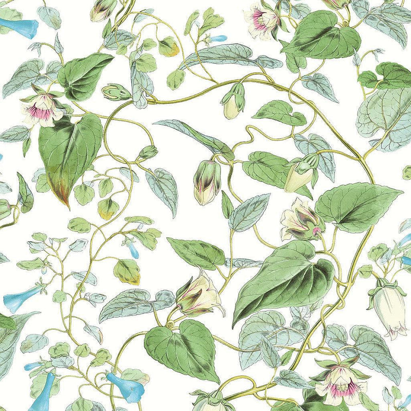 Wallpaper Moon Flower Wallpaper Sample // White 8 x 10 