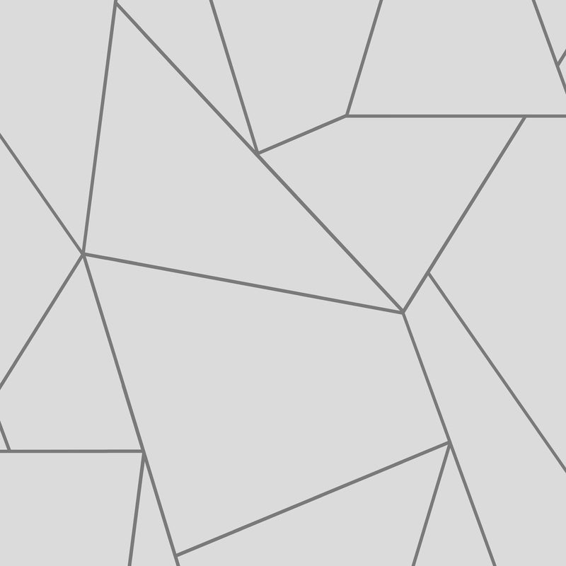 Wallpaper Nazca Wallpaper Sample // White & Silver 8 x 10 