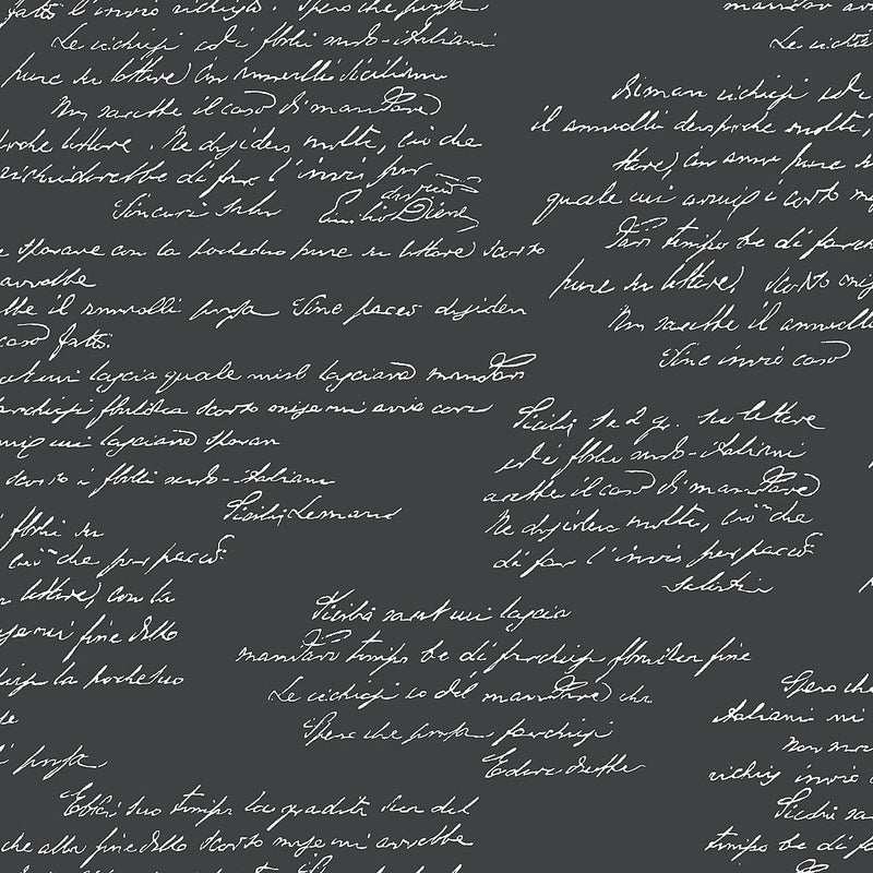 Wallpaper Noteworthy Wallpaper Sample // Black & White 8 x 10 