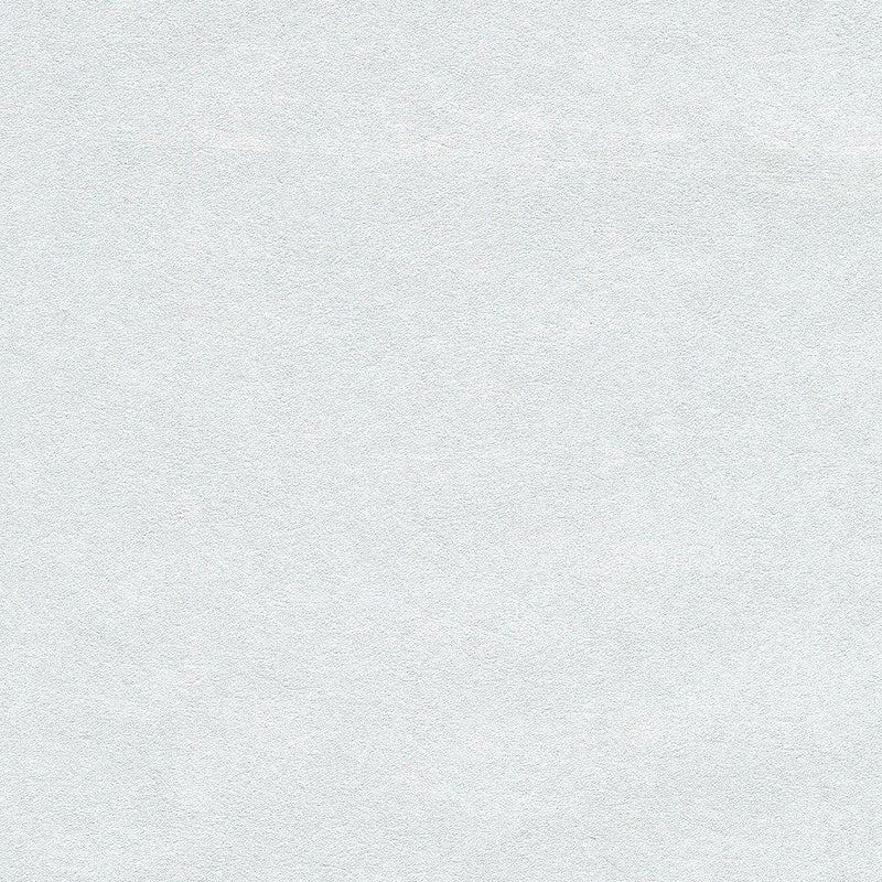 Wallpaper Oasis Wallpaper // Light Grey 