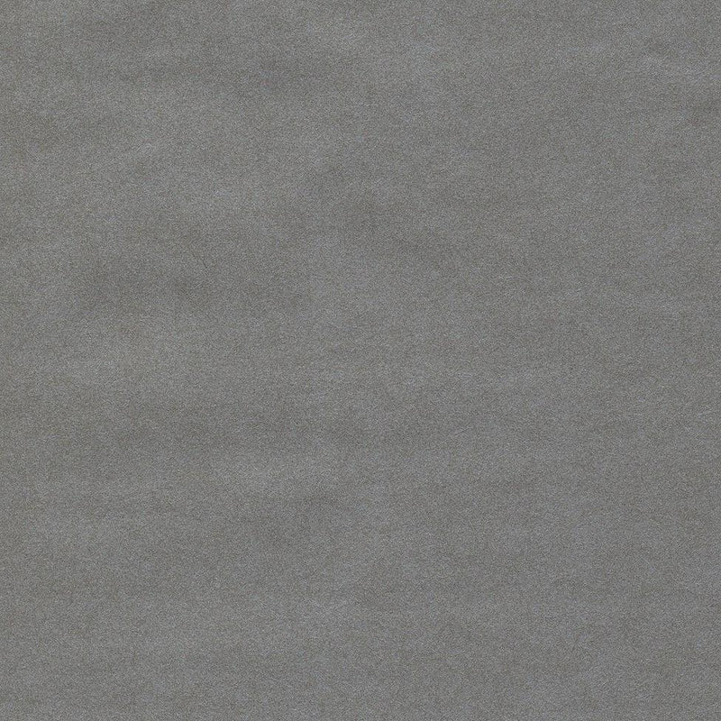 Wallpaper Oasis Wallpaper Sample // Dark Grey 8 x 10 