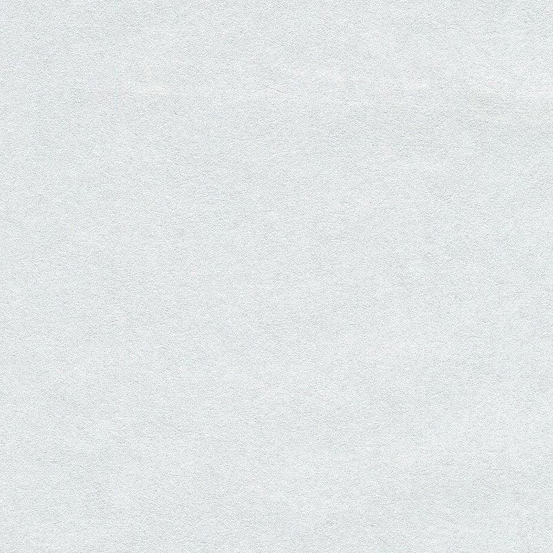 Wallpaper Oasis Wallpaper Sample // Light Grey 8 x 10 