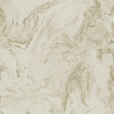 Wallpaper Oil & Marble Wallpaper // Blush Metallic 