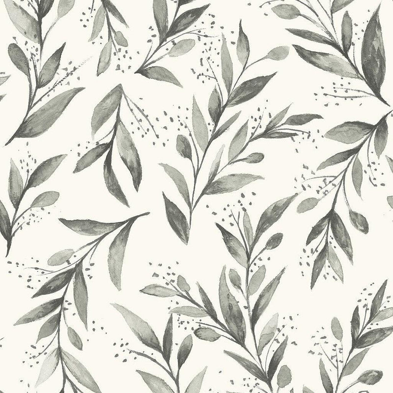 Wallpaper Olive Branch Wallpaper Sample // Charcoal 8 x 10 
