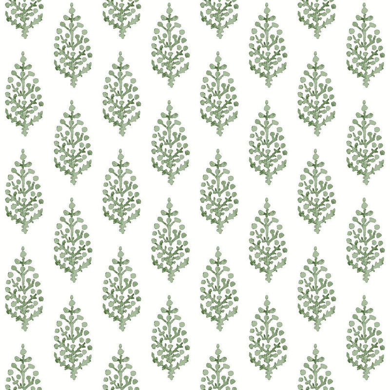 Wallpaper Paisley on Calico Wallpaper Sample // Green 8 x 10 