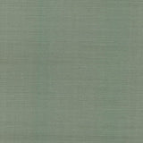Wallpaper Palette Wallpaper // Sage 
