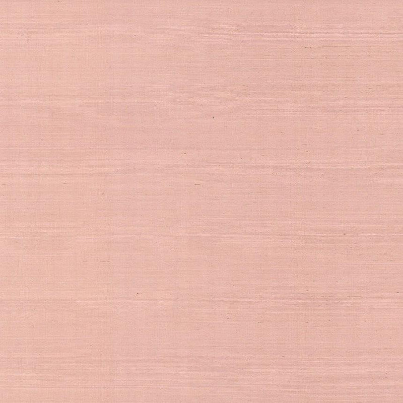 Wallpaper Palette Wallpaper Sample // Light Pink 8 x 10 