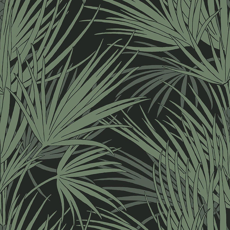 Wallpaper Palmetto Wallpaper Sample // Black & Green 8 x 10 