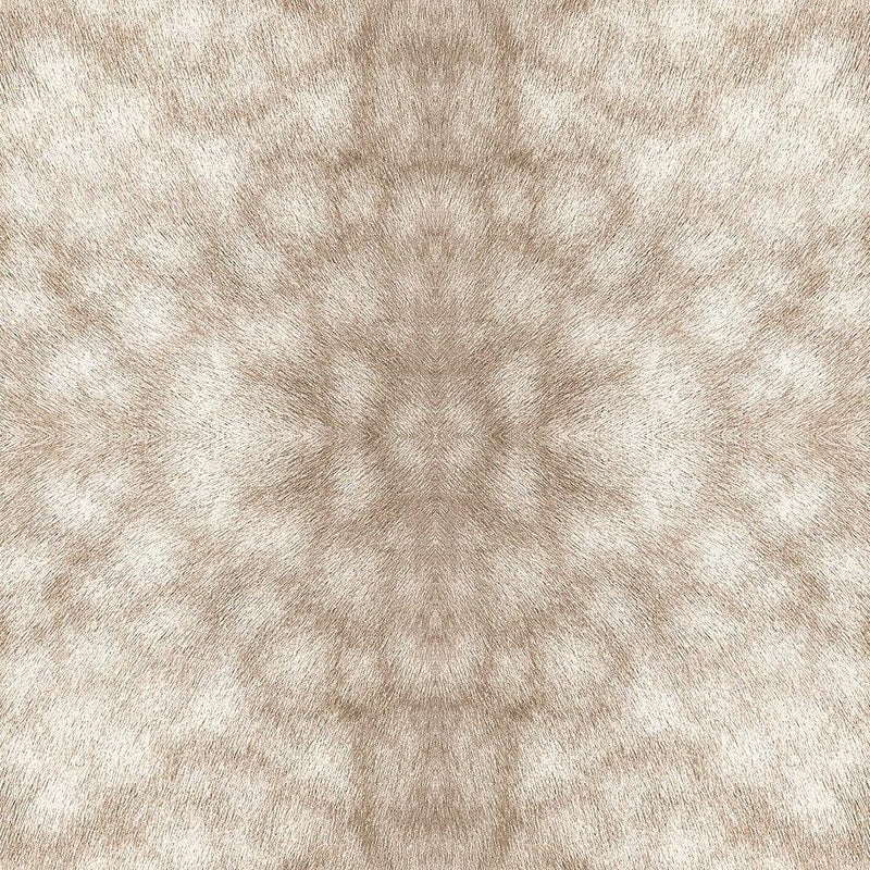 Wallpaper Palomino Peel & Stick Wallpaper Sample // Tan 8 x 10 