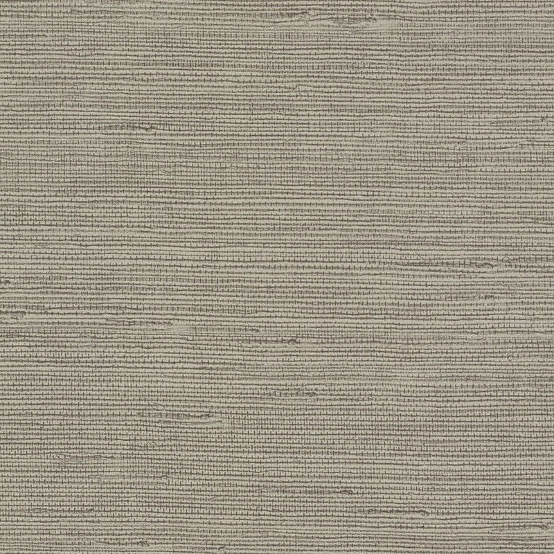 Wallpaper Pampas Wallpaper Sample // Brown 8 x 10 