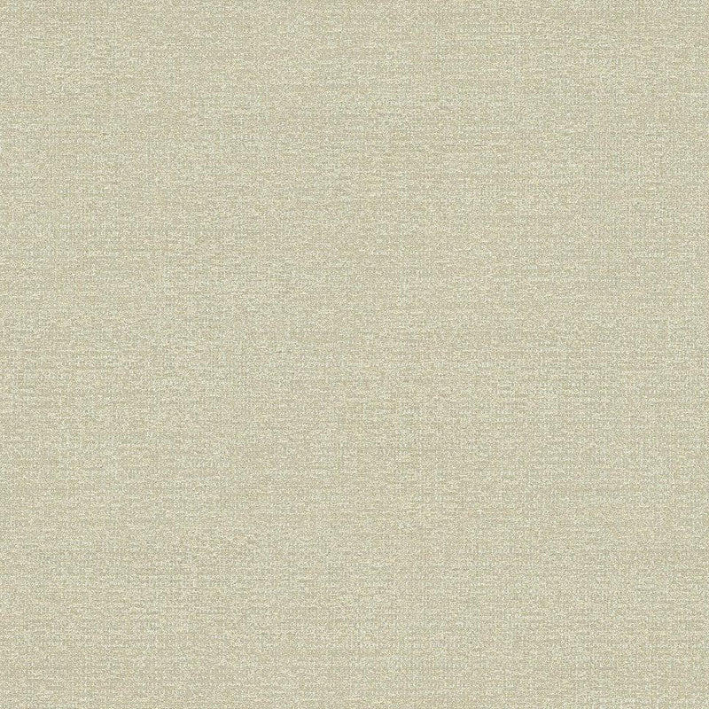 Wallpaper Panama Weave Wallpaper Sample // Beige Metallic 8 x 10 
