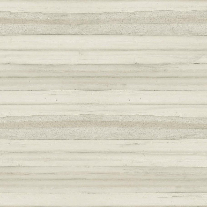 Wallpaper Pandora Leaf Birch Wallpaper Sample // Beige 8 x 10 