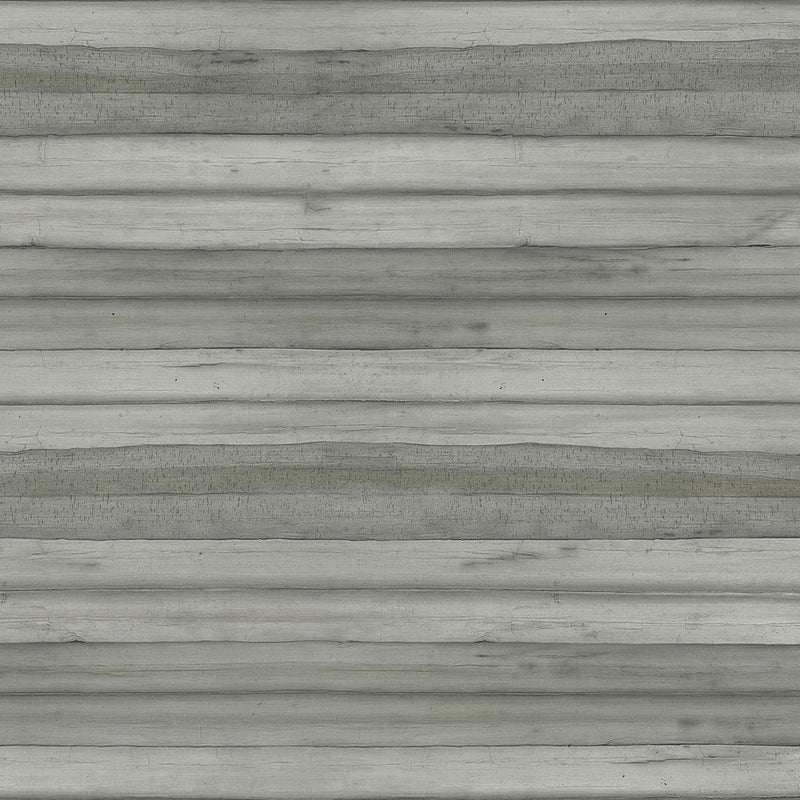 Wallpaper Pandora Leaf Wallpaper Sample // Grey 8 x 10 
