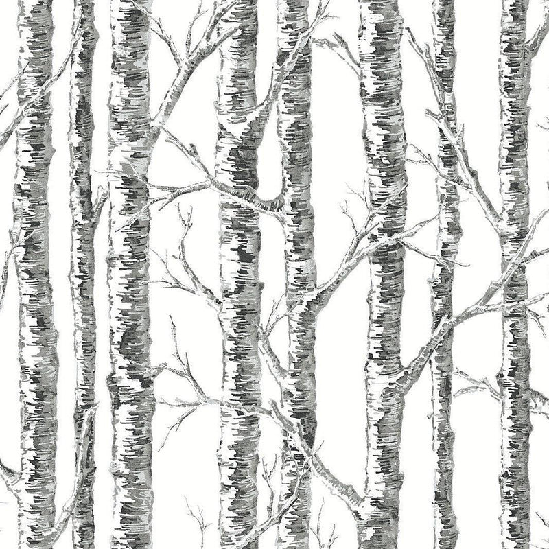Wallpaper Paper Birch Wallpaper Sample // Black & White 8 x 10 