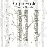 Wallpaper Paper Birch Wallpaper // White & Grey 
