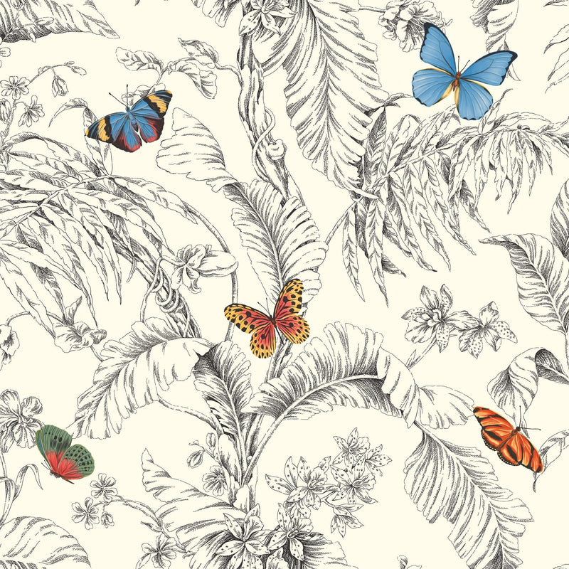 Wallpaper Papillon Wallpaper Sample // Yellow & Black 8 x 10 