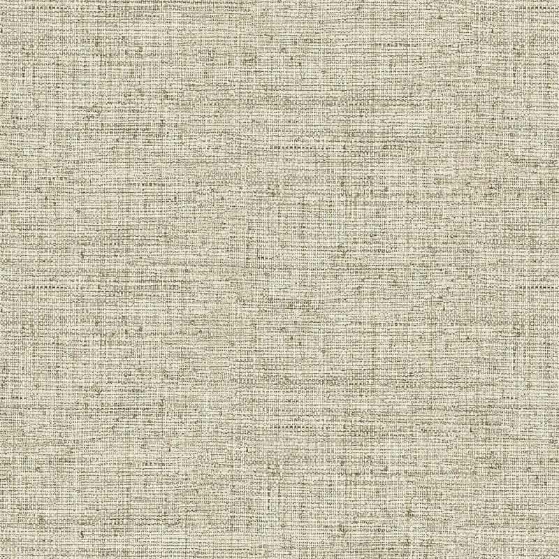 Wallpaper Papyrus Weave Wallpaper Sample // Beige 8 x 10 