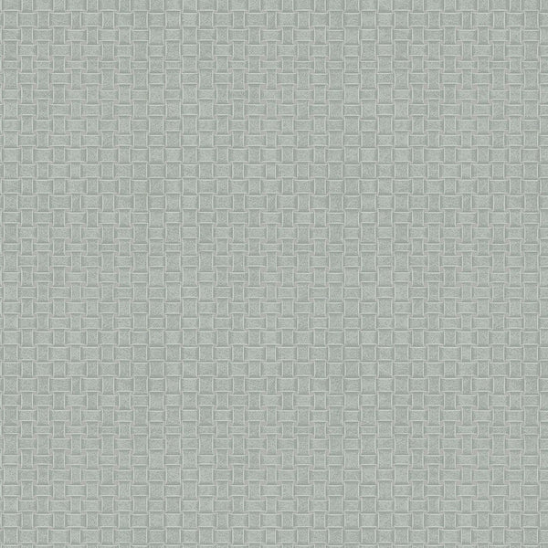 Wallpaper Paradise Island Weave Wallpaper // Grey 