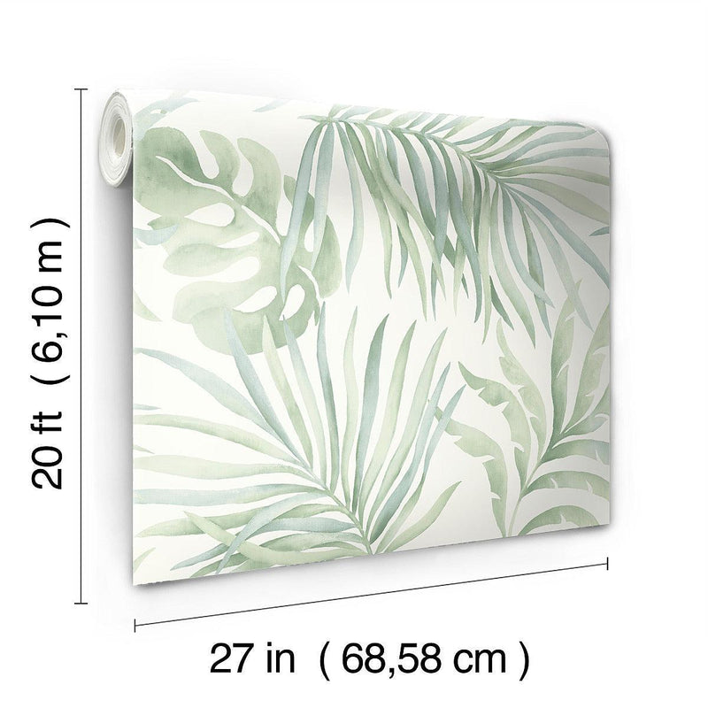Wallpaper Paradise Palm Peel & Stick Wallpaper // Aloe 