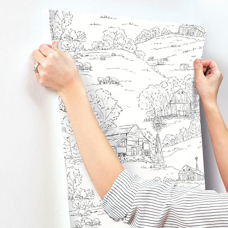 Wallpaper Pasture Toile Wallpaper // Black & White 