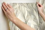 Wallpaper Peaceful Plume Wallpaper // Dark Grey 