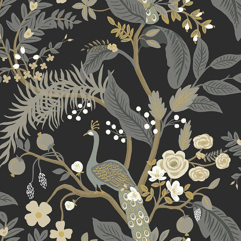 Wallpaper Peacock Wallpaper Sample // Black 8 x 10 