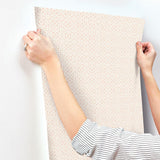 Wallpaper Pergola Lattice Wallpaper // Light Pink 