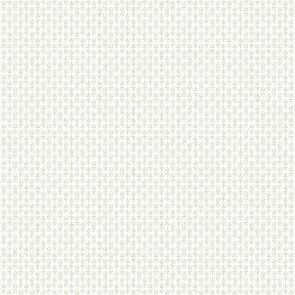 Wallpaper Petal Wallpaper // Off White 