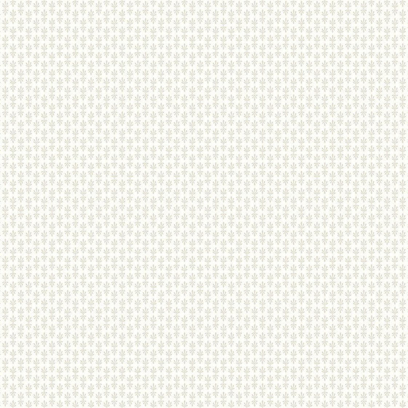 Wallpaper Petal Wallpaper Sample // Off White 8 x 10 