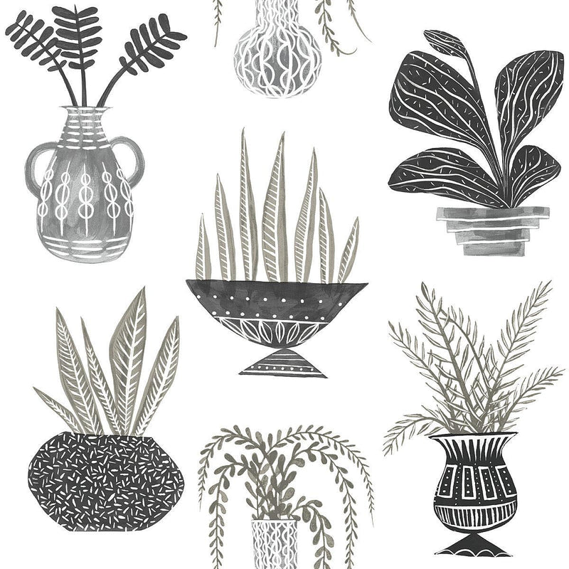 Wallpaper Plant Party Peel & Stick Wallpaper Sample // Black 8 x 10 