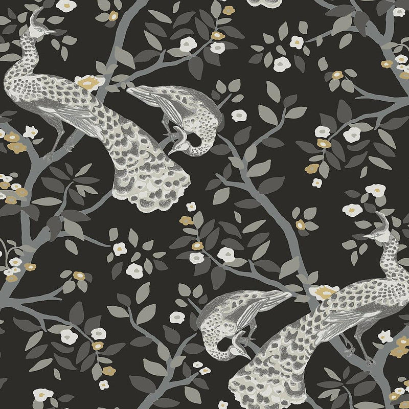Wallpaper Plume Wallpaper Sample // Black & Gold 8 x 10 