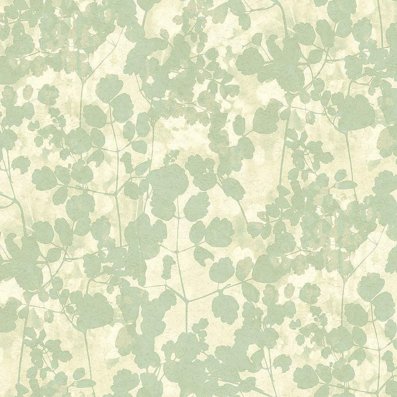 Wallpaper Pressed Leaves Wallpaper Sample // Green 8 x 10 